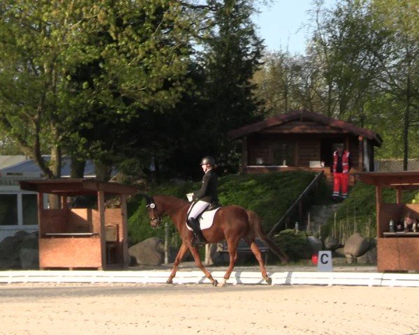 Reitturnier Pietzpuhl 2025