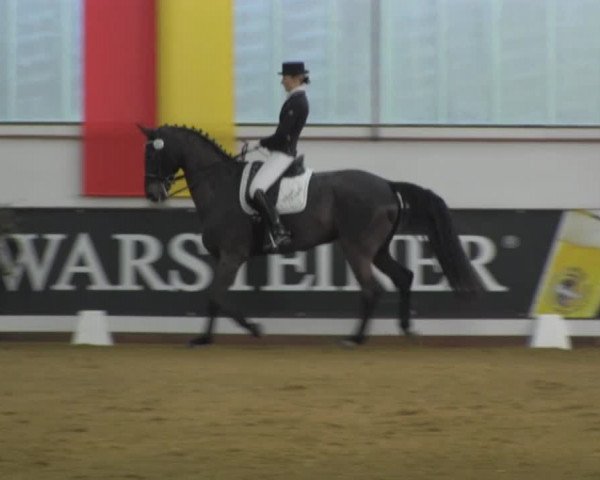 Dressurturnier IGD Vechta 2014