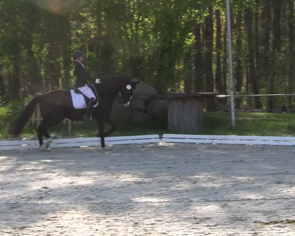 Reitturnier Pietzpuhl 2025