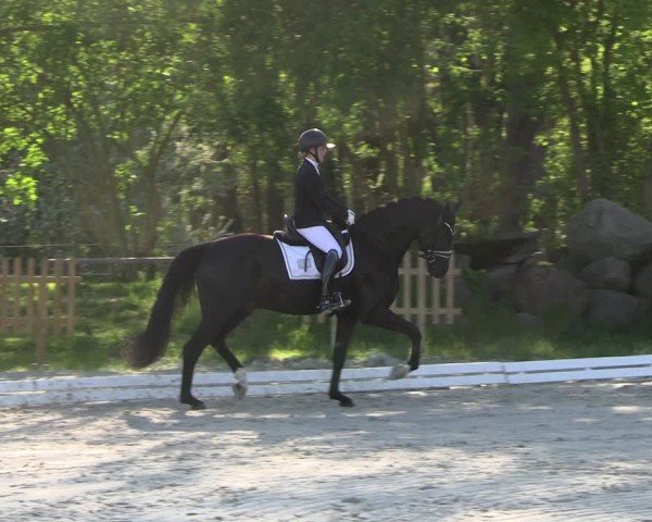 Reitturnier Pietzpuhl 2025