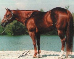 Pferd Solanos Rocky Top (Quarter Horse, 1990, von Solanos Peppy San)