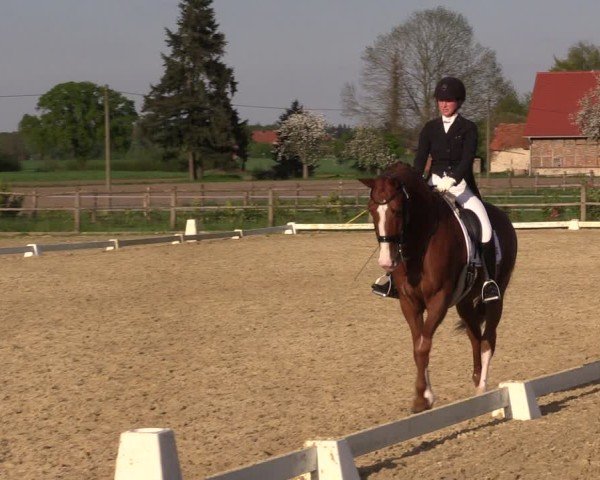 Reitturnier Warendorf, Reitstall am Rothenbach 2025