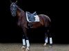 jumper Fortuna la mia (Hanoverian, 2015, from Finest)