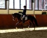 Zuchtstute Dorena (Deutsches Reitpony, 2011, von FS Dorinkort)