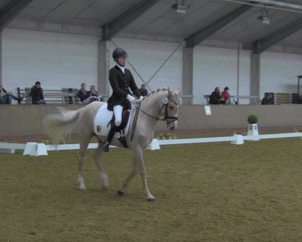 Dressurturnier IGD Vechta 2014
