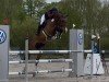 jumper Clandestino Df (Oldenburg show jumper, 2018, from Cola 10)