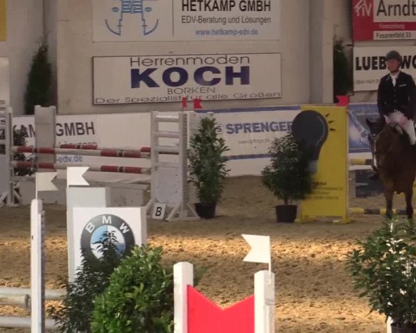 Hallenspringturnier in Borken 2014
