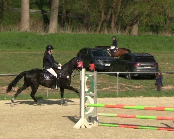 Reitturnier Bad Liebenstein 2025