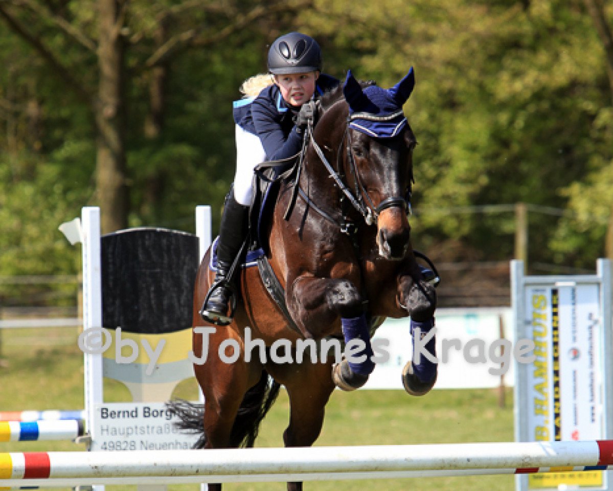 jumper Emiliano 3 (Oldenburg, 2002, from Emilion)