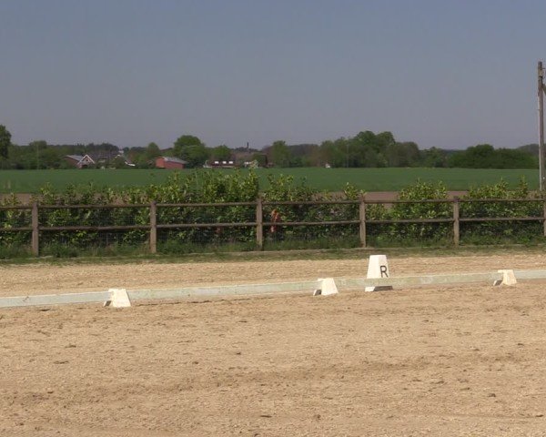 Reitturnier Warendorf, Reitstall am Rothenbach 2025