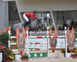 jumper Griet (KWPN (Royal Dutch Sporthorse), 2011, from Bugatti VDL)