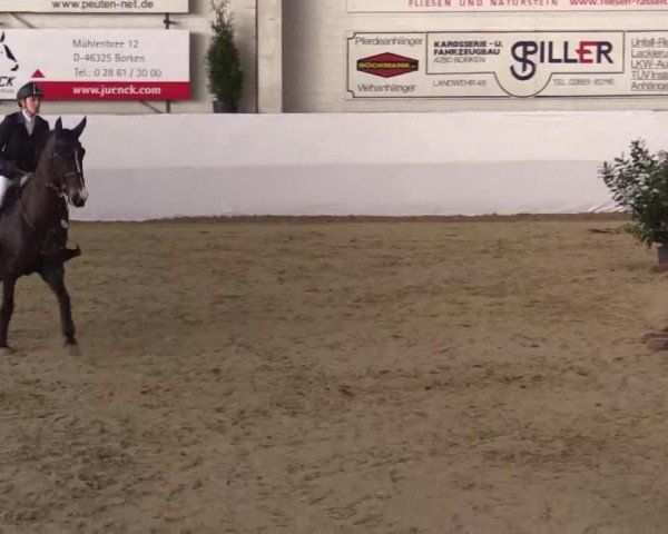 Hallenspringturnier in Borken 2014