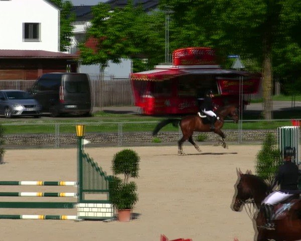Reitturnier Ingolstadt-Hagau/Obb. 2025