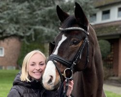 dressage horse Sunshine 608 (Westphalian, 2009, from Sandro Hit)