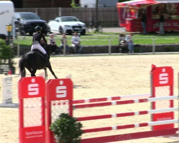 Reitturnier Ingolstadt-Hagau/Obb. 2025