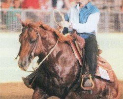 horse Docs Shining Rose (Quarter Horse, 1995, from Shining Spark)