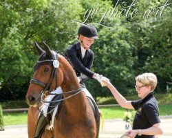 dressage horse Sunrise W 2 (Hanoverian, 2009, from Sir Donnerhall I)