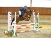 Dressurpferd Schierensees Caleo (Deutsches Reitpony, 2017, von Charlie Brown)