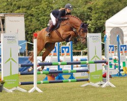 jumper Bobby Balou 2 (Hanoverian, 2016, from Balou du Rouet)