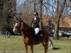 jumper Diego 286 (unknown, 2006)
