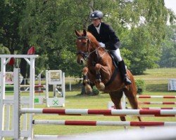 jumper Sansibär (Hanoverian, 2010, from Stakkato)