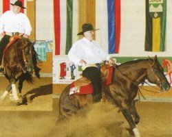 horse Bricks Top Jac (Quarter Horse, 1996, from Jac O Rima)