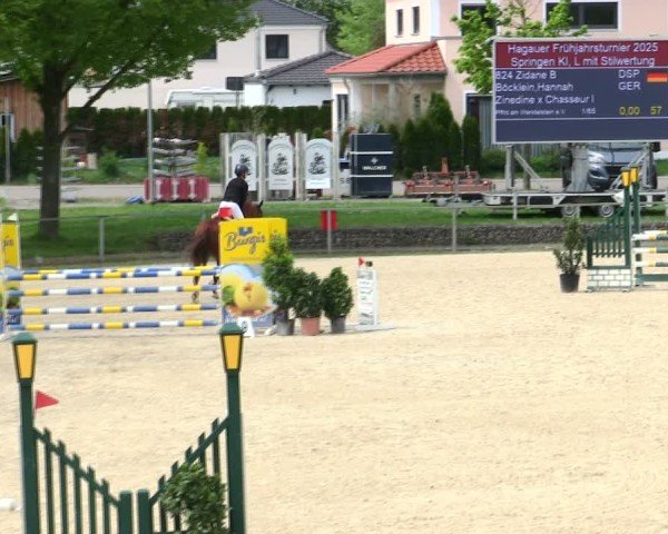 Reitturnier Ingolstadt-Hagau/Obb. 2025
