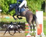 dressage horse Meiqua Korrelett (KWPN (Royal Dutch Sporthorse), 2017, from Quaterback)