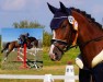 dressage horse Clein Tamila (Oldenburg show jumper, 2018, from Clarksville)