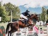 jumper Vivienna (Hanoverian, 2012, from Valentino)