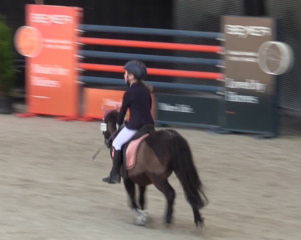 Reitturnier Aachen 2025