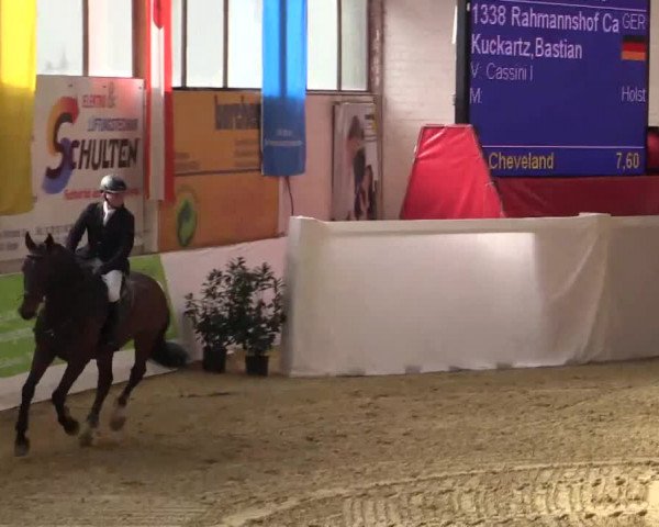 Hallenspringturnier in Borken 2014