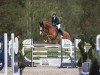 jumper Heaven Rock H (Westphalian, 2018, from Hickstead White)