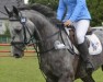 Springpferd H. Cornsta (Oldenburger, 2016, von Cornet's Boy RM)