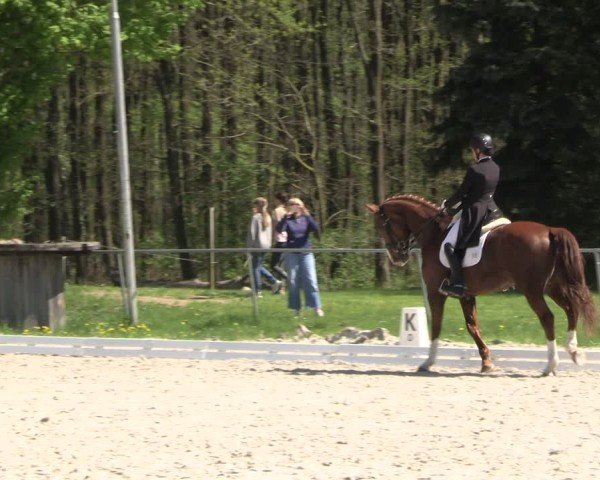 Reitturnier Pietzpuhl 2025