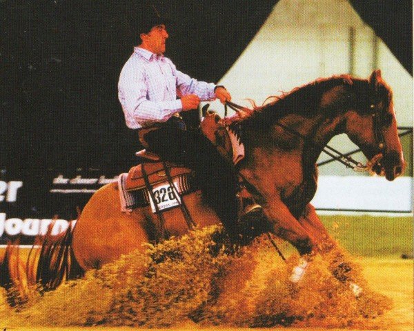 horse Are Ya Dun Looken (Quarter Horse, 1998, from Hollywood Dun It)