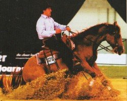 horse Are Ya Dun Looken (Quarter Horse, 1998, from Hollywood Dun It)