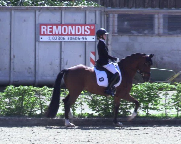 Reitturnier Olfen 2025