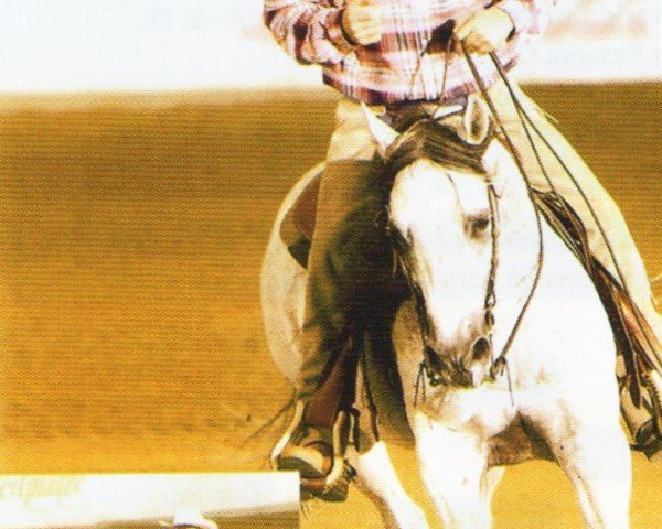 horse ARC Easter Cutter (Quarter Horse, 1989, from Easter Gentleman)