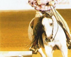 horse ARC Easter Cutter (Quarter Horse, 1989, from Easter Gentleman)