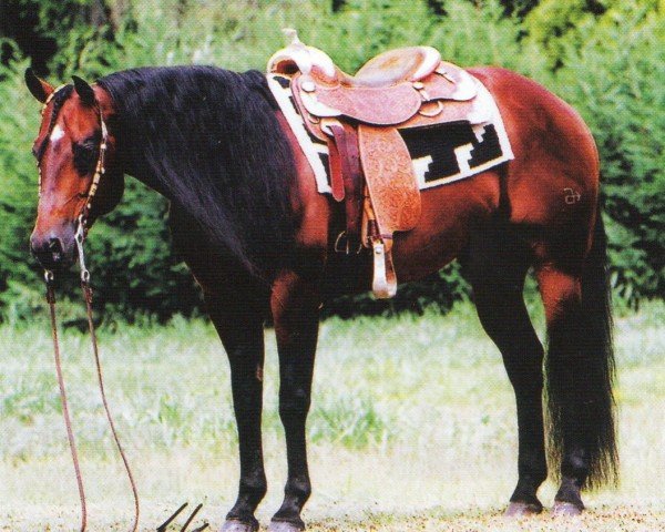 Pferd ARC Antares Surprise (Quarter Horse, 1994, von Surprise Enterprise)