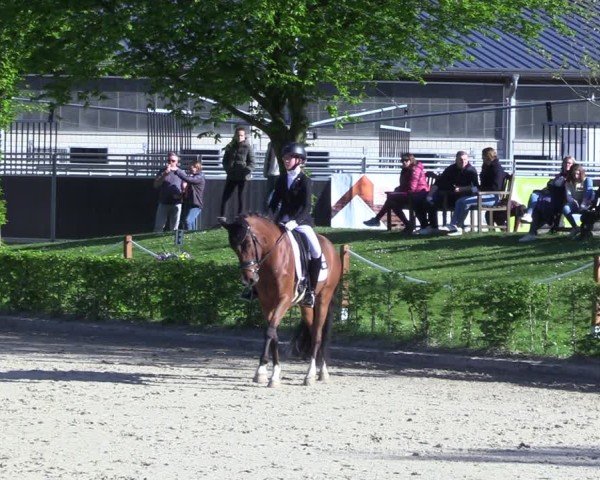Reitturnier Olfen 2025