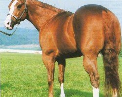 horse Justa Magic Page (Quarter Horse,  , from Page Impressive)