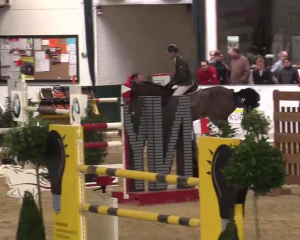Hallenspringturnier in Borken 2014