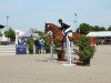 jumper Cayalino 2 (German Sport Horse, 2015, from FBW Cayton)