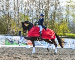 dressage horse Maranello Hrh (Hanoverian, 2017, from E.H. Millennium)