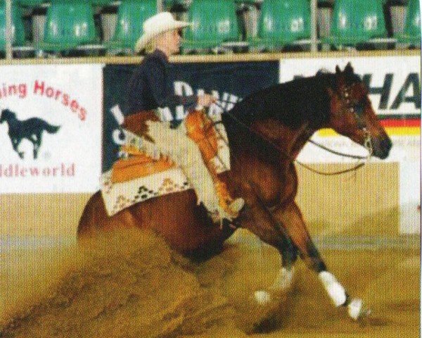 horse Tobi (Quarter Horse, 1995, from Docs Topsail Of Arc)