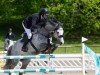 jumper Covago (Irish Sport Horse, 2016, from KMS Chicago)