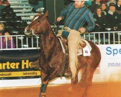 horse Rocky Colonel (Quarter Horse, 1985, from Colonel Freckles)