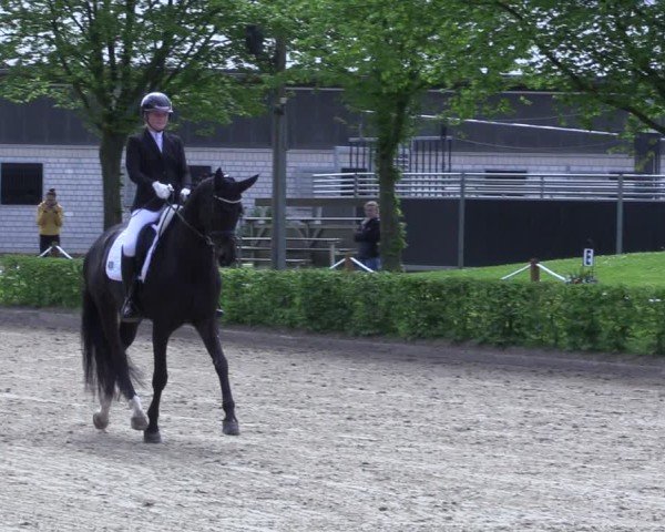 Reitturnier Olfen 2025
